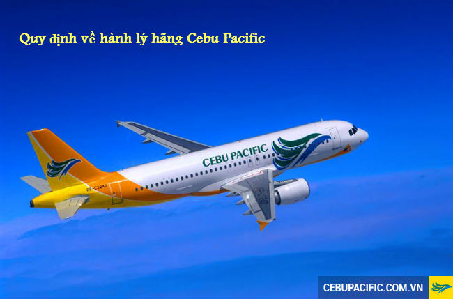 Quy định mới nhất về các loại hành lý của hãng hàng không Cebu Pacific