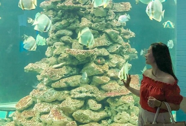 Địa điểm du lịch Nha Trang - Viện hải dương